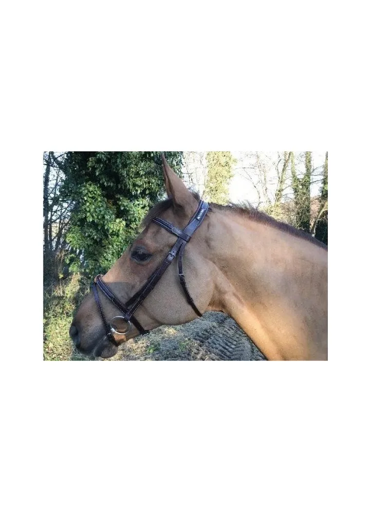 Bridon New Classic