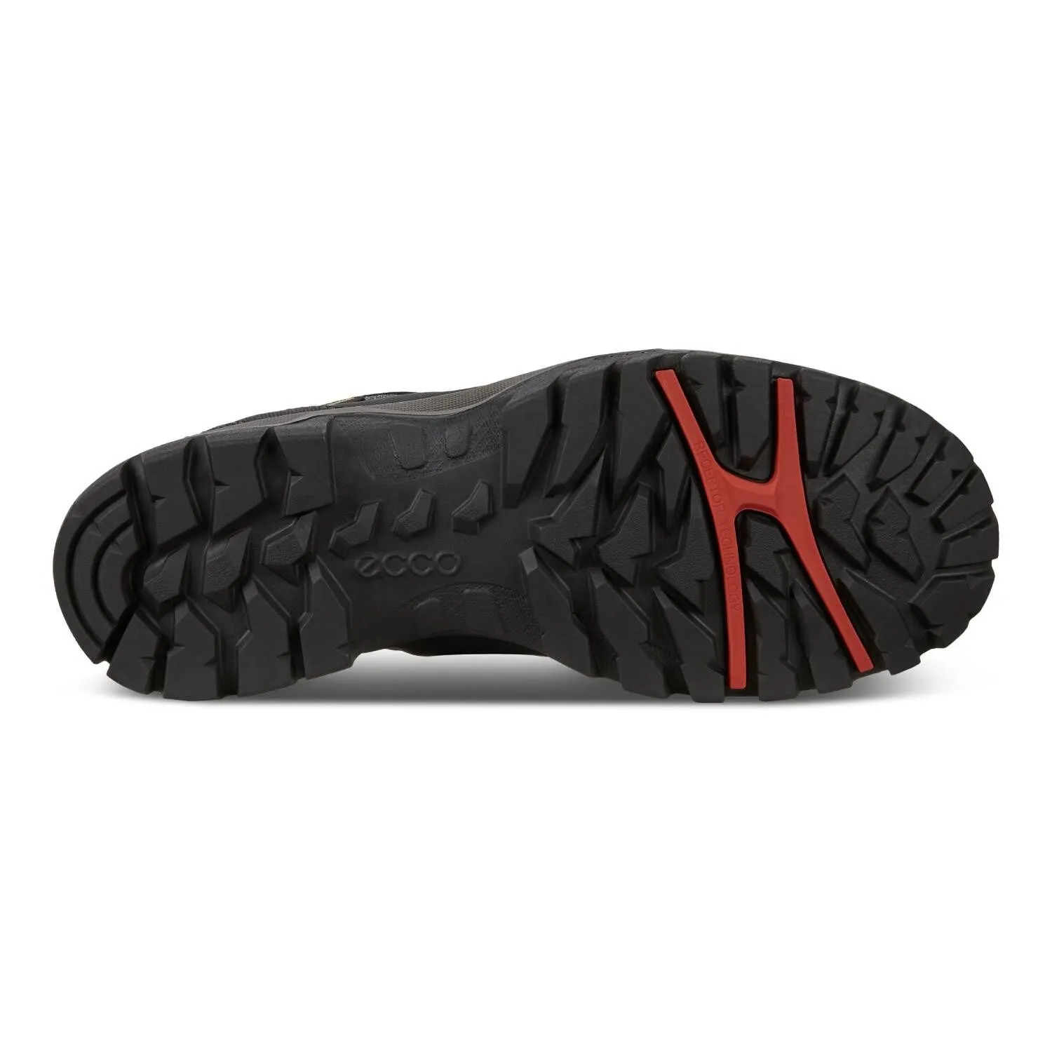 Chaussure de trekking et de randonnée pour dames ECCO XPEDITION III Low Cut ⋆ Lehner Versand