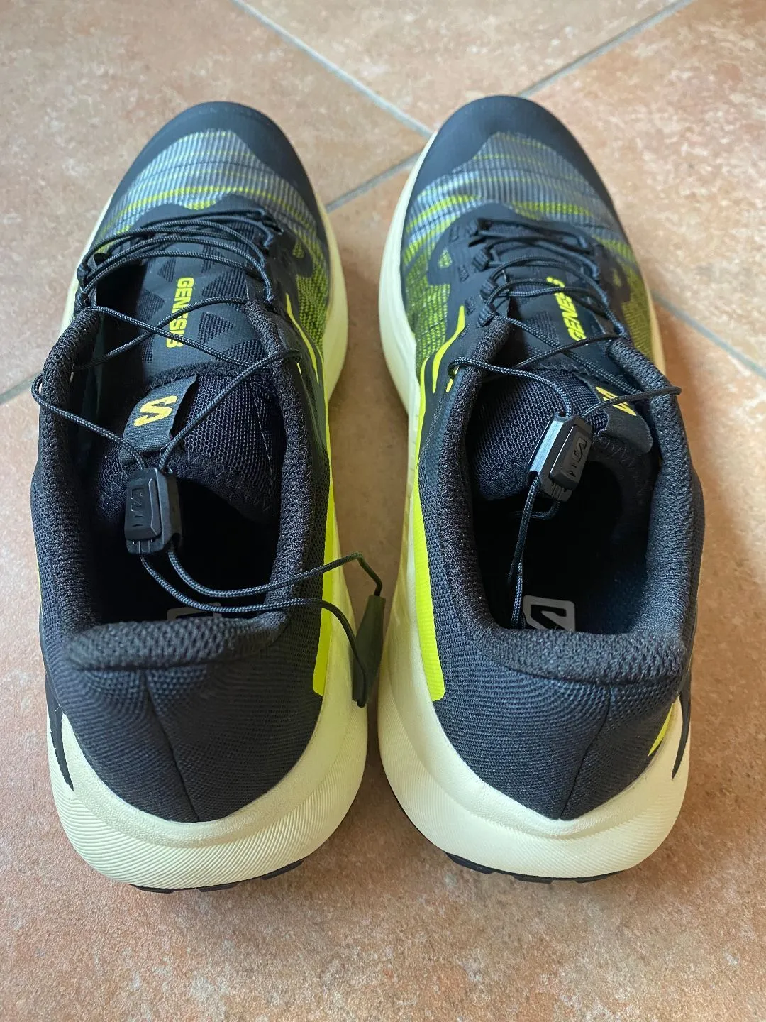 Chaussures de Trail Salomon Genesis 41.5