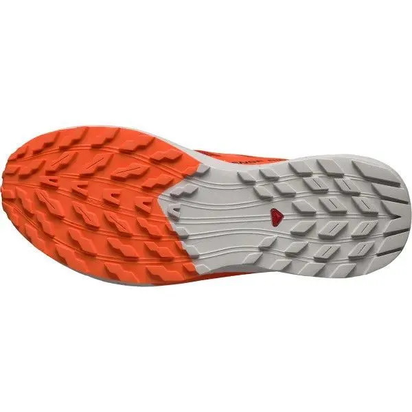 Chaussures de trail Salomon Sense Ride 5 41