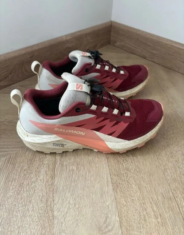 Chaussures de Trail Salomon Sense Ride 5 Goretex 40