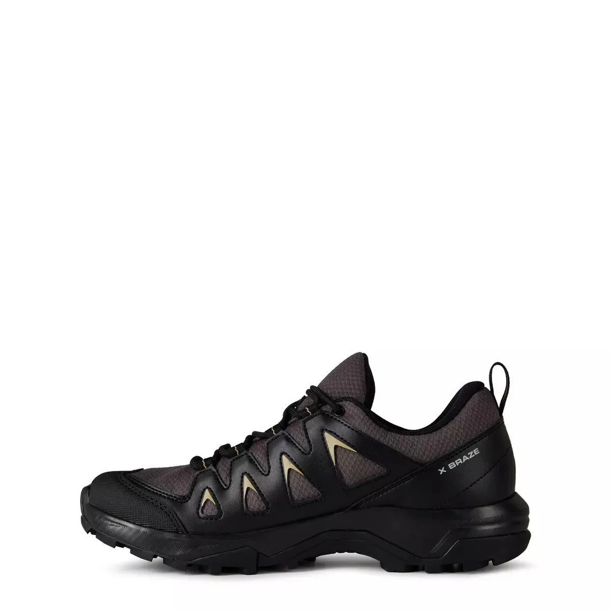 Chaussures de trail Salomon X Braze GTX 42