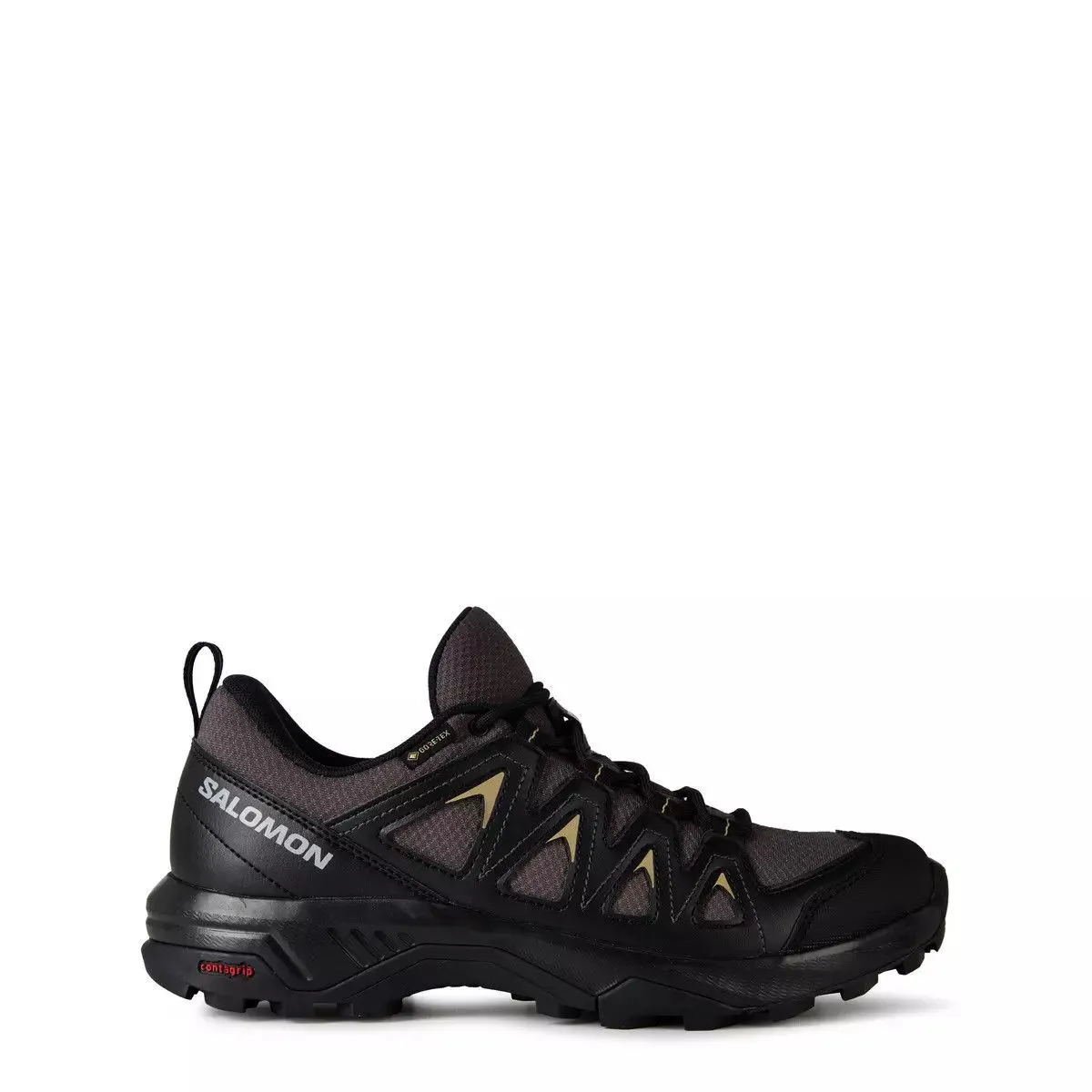 Chaussures de trail Salomon X Braze GTX 44.5