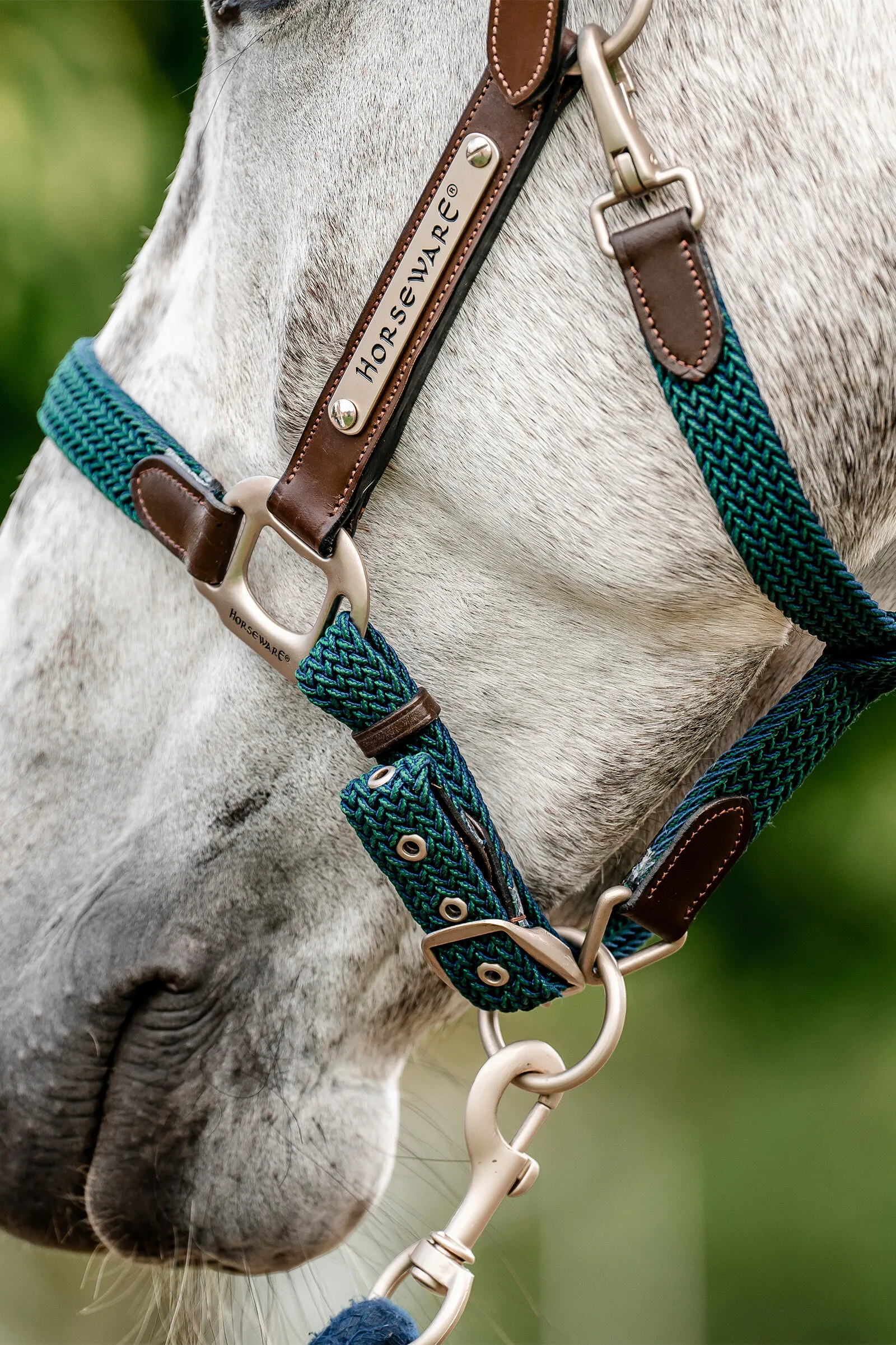 Horseware Signature Licol tressé