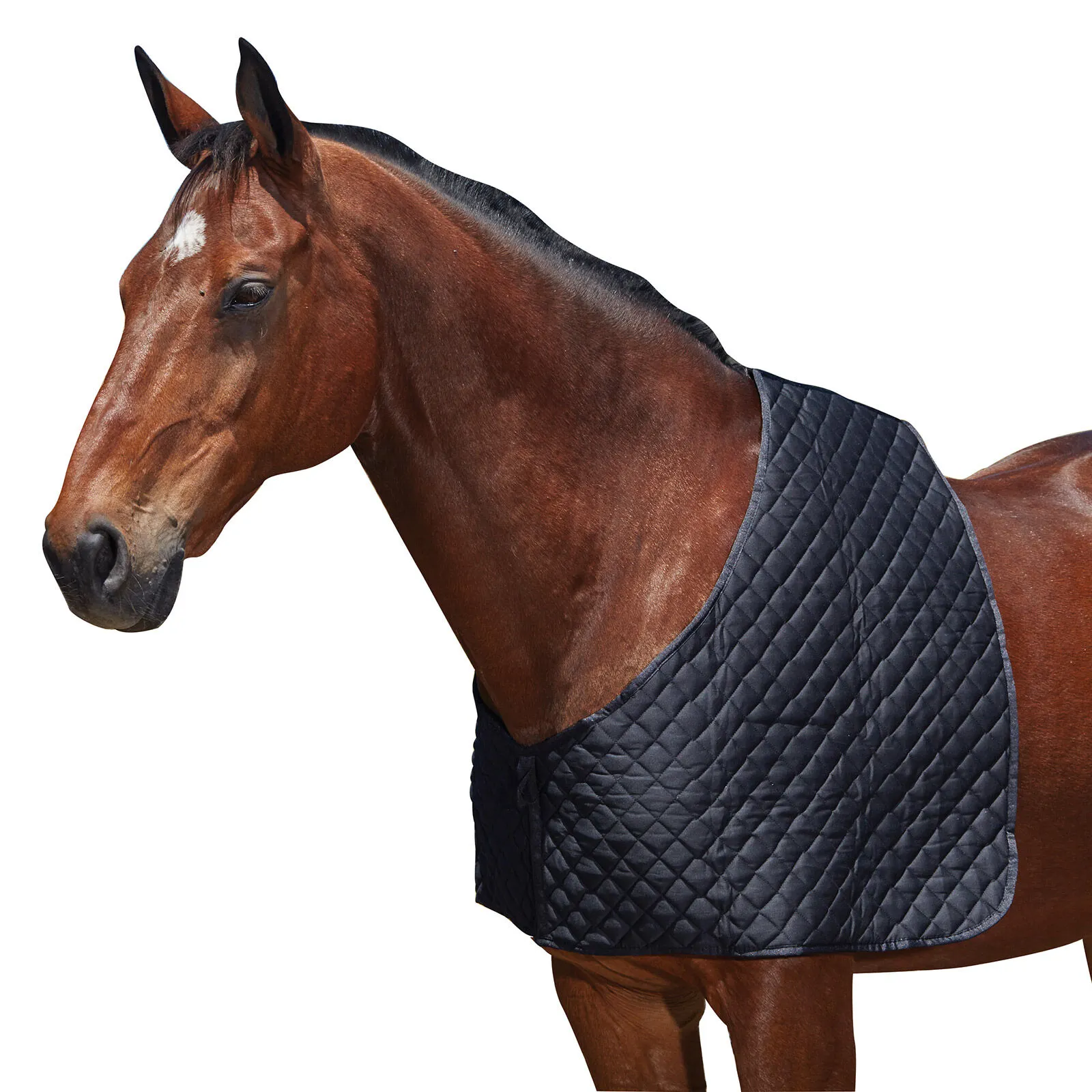 Weatherbeeta Protection d'épaules Deluxe